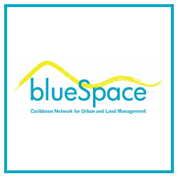BlueSpace Logo